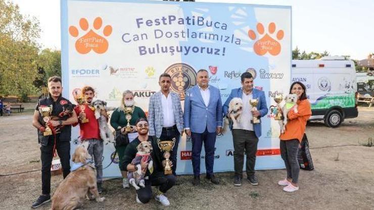 FestPati Bucada 22 can dostu yuvaya kavuştu