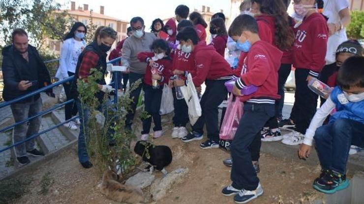 Minik elleriyle sokak hayvanlarını beslediler