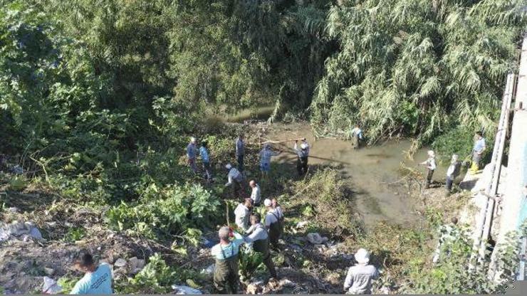 40 yıldır temizlenmeyen derede yeni cins sinekler türeyince temizlik çalışması başlatıldı