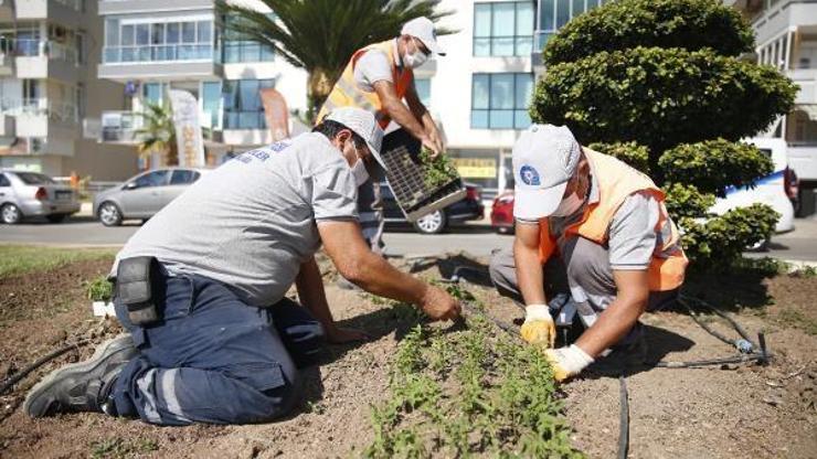 3 milyon kışlık çiçek toprakla buluşuyor