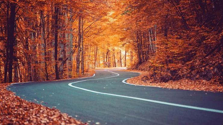 Sonbahar Eş Anlamlısı Nedir Sonbahar Kelimesinin Eş Anlamlıları Nelerdir