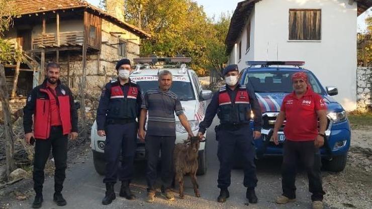 1 hafta uçurumda mahsur kalan keçi kurtarıldı