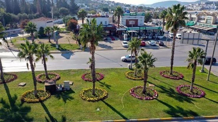 Bodrumda mevsimlere uygun bitki ve çiçeklerle su tasarrufu sağlanacak