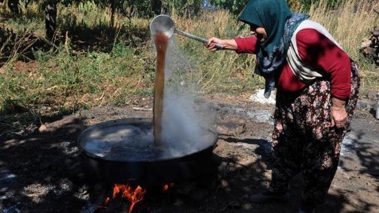 İslahiye’de 180 ton pekmez üretildi