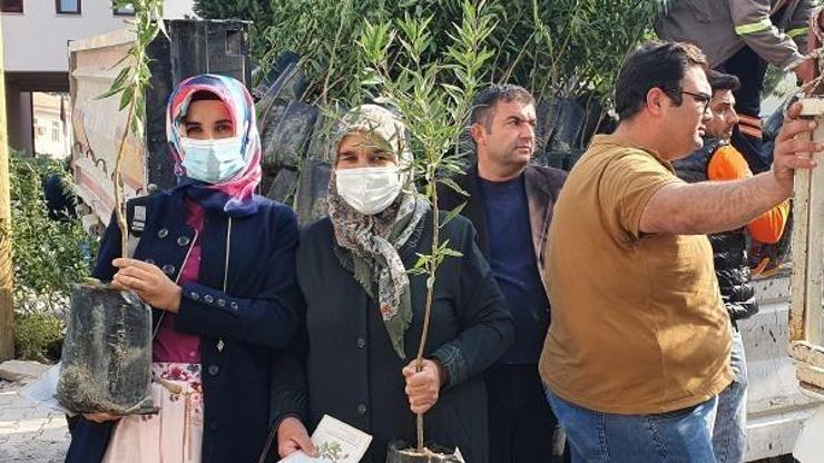 Üreticiye badem fidanı