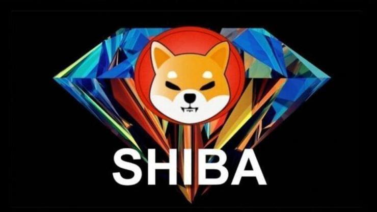 DOGE ve SHIB bir sağlık şirketinden destek alacak