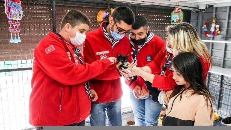 Bucada sahiplenilen engelli kedilere ömür boyu sağlık hizmeti