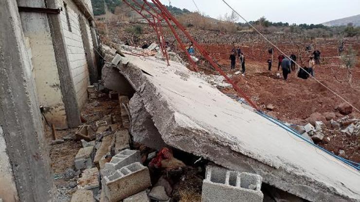 Yağış sonrası ahır çöktü: 5 inek öldü