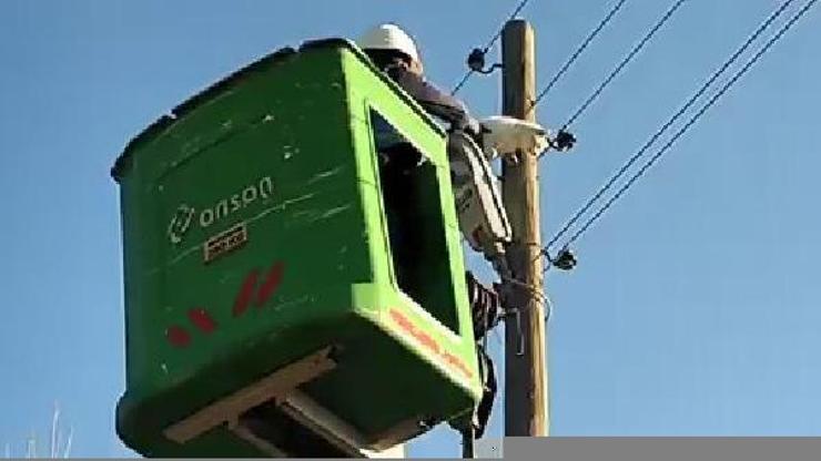 Bingöl’de elektrik direğinde mahsur kalan kedi kurtarıldı