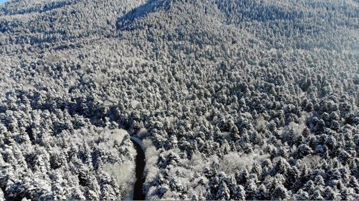 Karla kaplı Bolu ormanları havadan görüntülendi