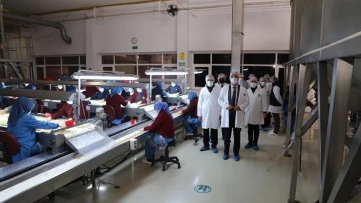Fiskobirlik’ten 100 milyonluk ihracat