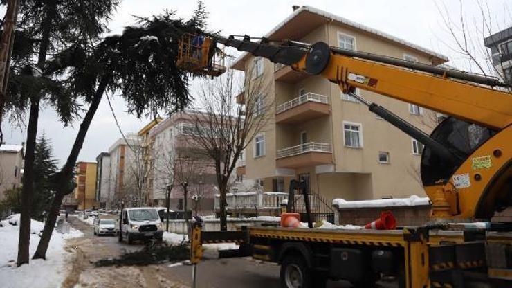 Kartal’da budanan ağaç dalları ihtiyaç sahiplerine yakacak oluyor