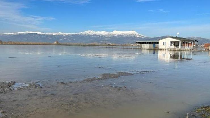 Bucakta ekili alanlar su altında kaldı