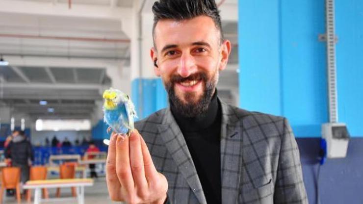 Manisada kuşlar görücüye çıktı