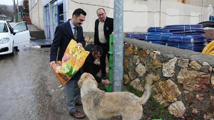 Gölovada sokak hayvanları unutulmadı