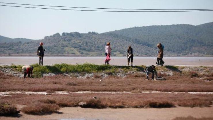 Flamingolarıyla ünlü alanda çevre temizliği yapıldı