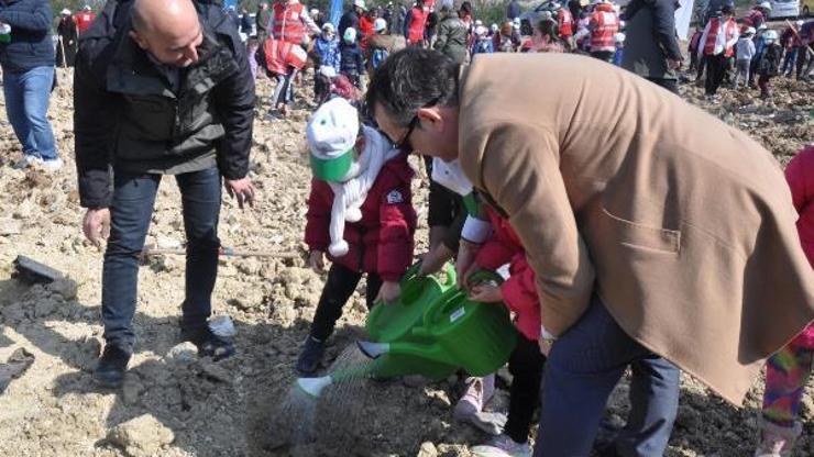 Somada 2 bin 500 fidan toprakla buluşturuldu