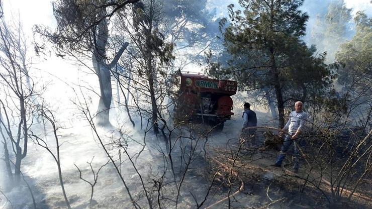 Somada korkutan orman yangını