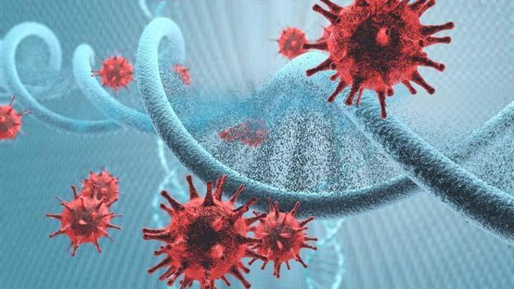 Erişkinlere Hepatit A uyarısı Belirtileri ve tedavi yöntemleri