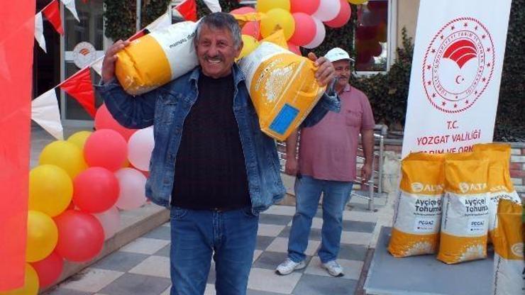 Yozgat’ta çiftçilere yağlık ayçiçeği tohumu desteği