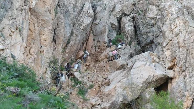 Balkaya Dağlarında pancar toplayıp, piknik yaptılar