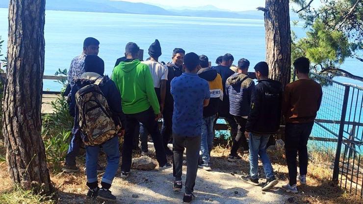 Muğlada ormanda 62 kaçak göçmen yakalandı