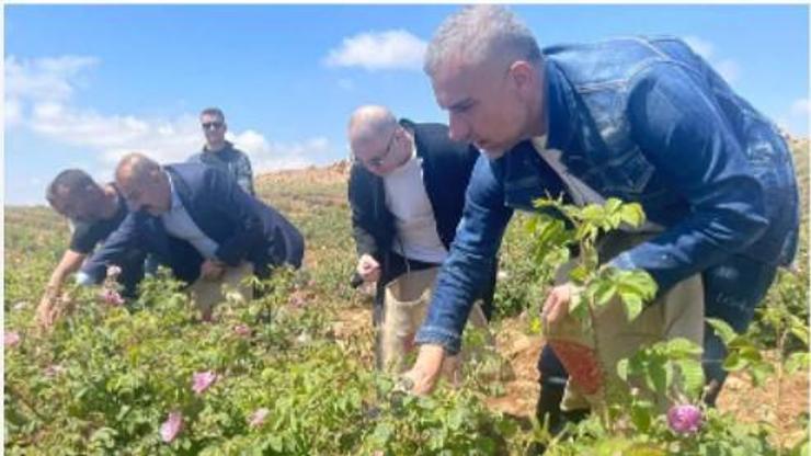 Berdan Mardini gül topladı