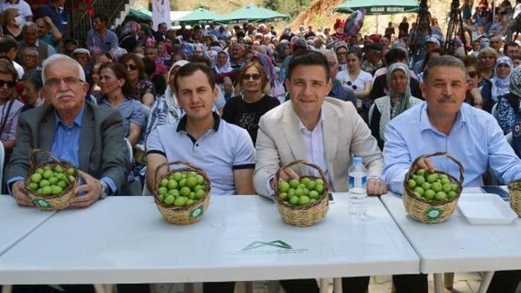 Gezendede Erik Festivali coşkusu