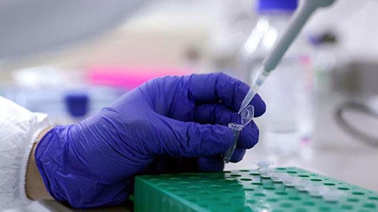 İçişleri Bakanlığından “Ülkeye Giriş Tedbirleri” konulu genelge: PCR test zorunluluğu kaldırıldı