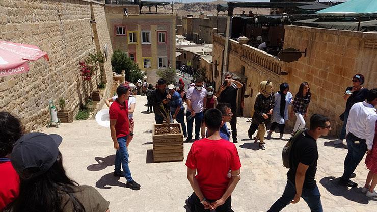 Hava sıcaklıkları arttı uzman isim uyardı: Ölüme kadar gidebilir