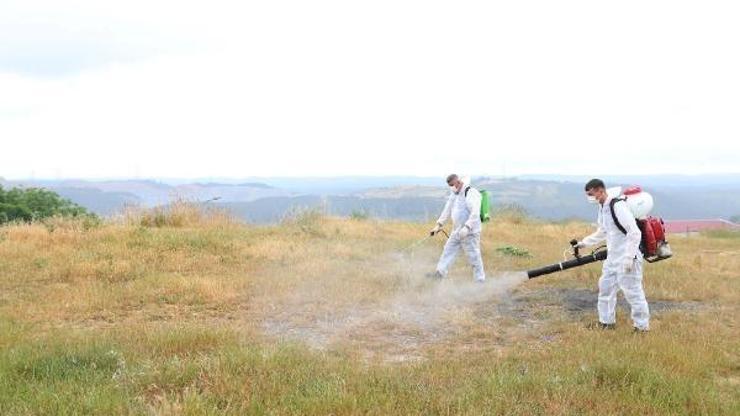 Sultangazide haşerelere karşı ilaçlama çalışmaları başlatıldı