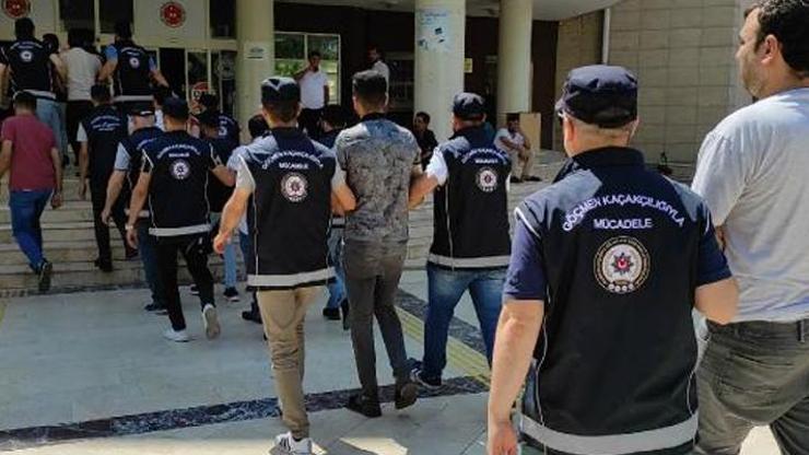 Şanlıurfada 36 kaçak göçmen yakalandı: 7 organizatöre gözaltı
