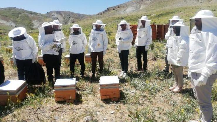 Özalpte arıcılara kovan desteği
