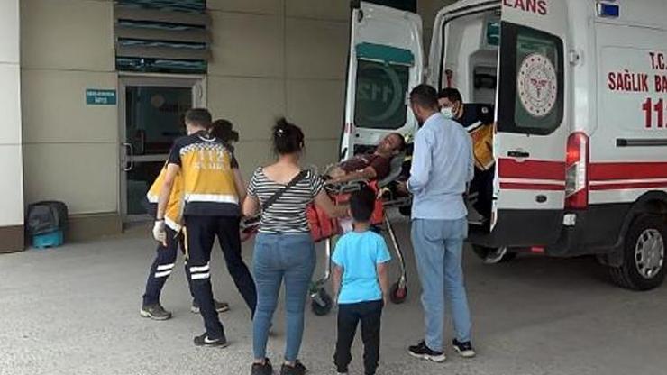 Arıların saldırısına uğradı, hastaneye kaldırıldı