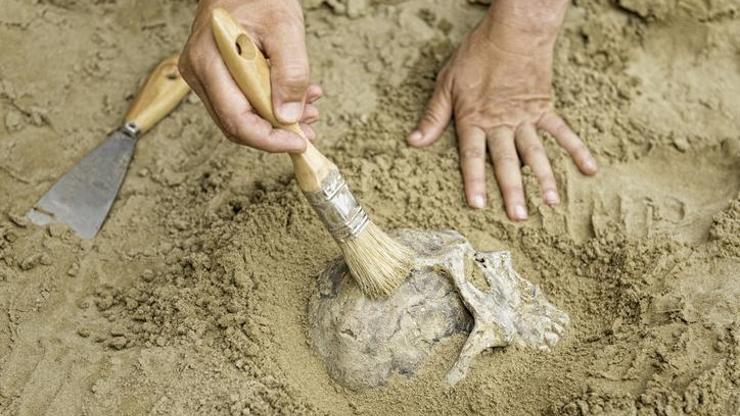 En eski atalarımıza ait fosiller düşünülenden bir milyon yıl daha yaşlı