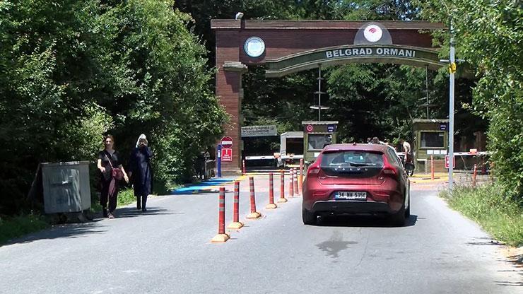 İstanbulda ormanlarda ateş yakma yasağı başladı