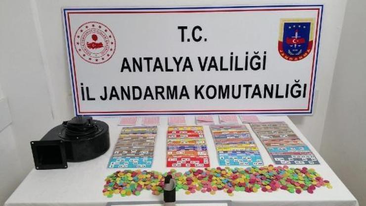 Sidede kumar baskını