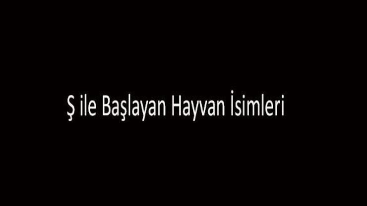 Ş İle Başlayan Hayvan İsimleri... Ş Harfi İle Başlayan Hayvanlar