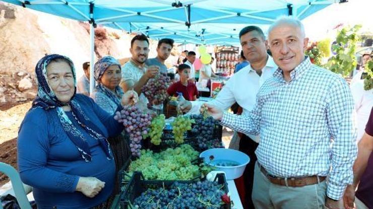 Akdenizin Üzüm Şenliğine büyük ilgi