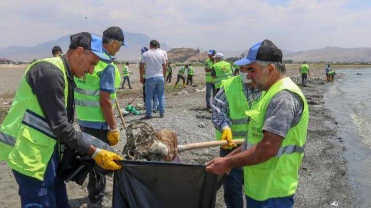 Van Gölü sahilinde çevre temizliği