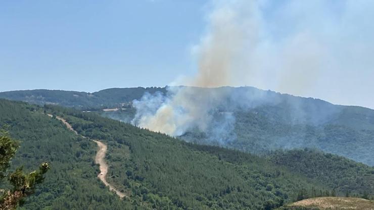 Çanakkalede orman yangını