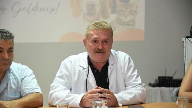 Adana’da sokak hayvanları özel veteriner kliniklerince de kısırlaştırılacak