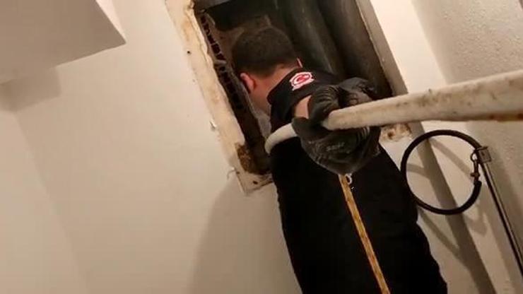 Apartman boşluğuna düşen yavru kediyi itfaiye kurtardı