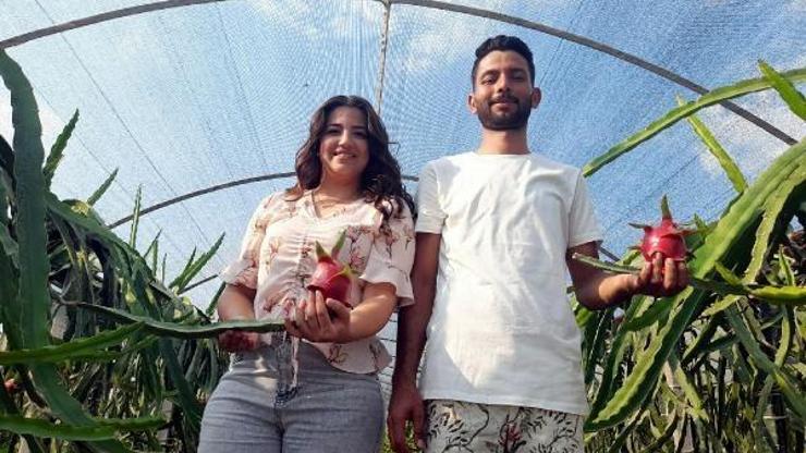 Sinemayı bıraktı, kurduğu serada hayalinin meyvesini üretti