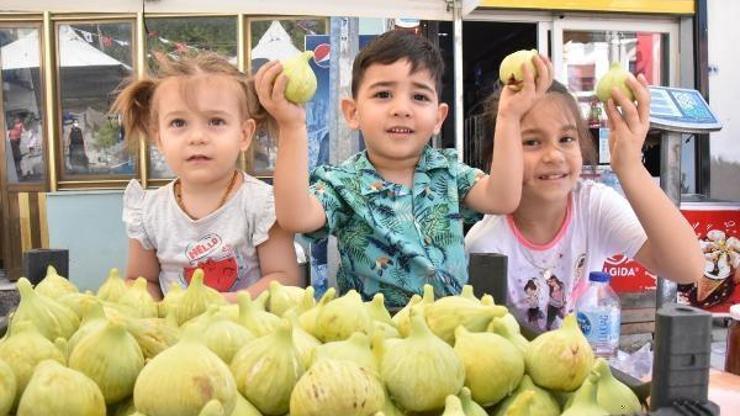 Torbalı Belediyesinden Bardacık İnciri Festivali
