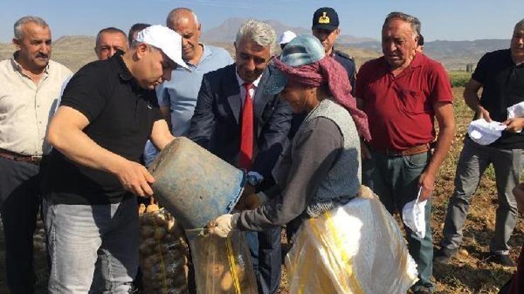 Vali Koç, patates hasadı yapan işçileri ziyaret etti