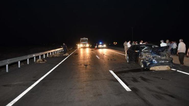 Siverek’te otomobil koyun sürüsüne çarptı: 2 yaralı