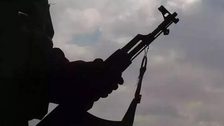 Son dakika... İçişleri Bakanlığı, 2 teröristin daha ikna yoluyla teslim olduğunu duyurdu