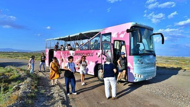 Gediz Deltasında hem deniz hem kara yoluyla Flamingo Yolu turu