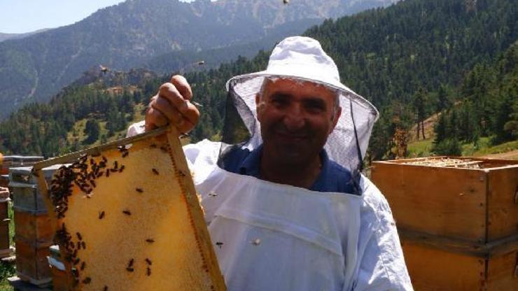 Bu balı şeker hastaları da rahatlıkla yiyebilir